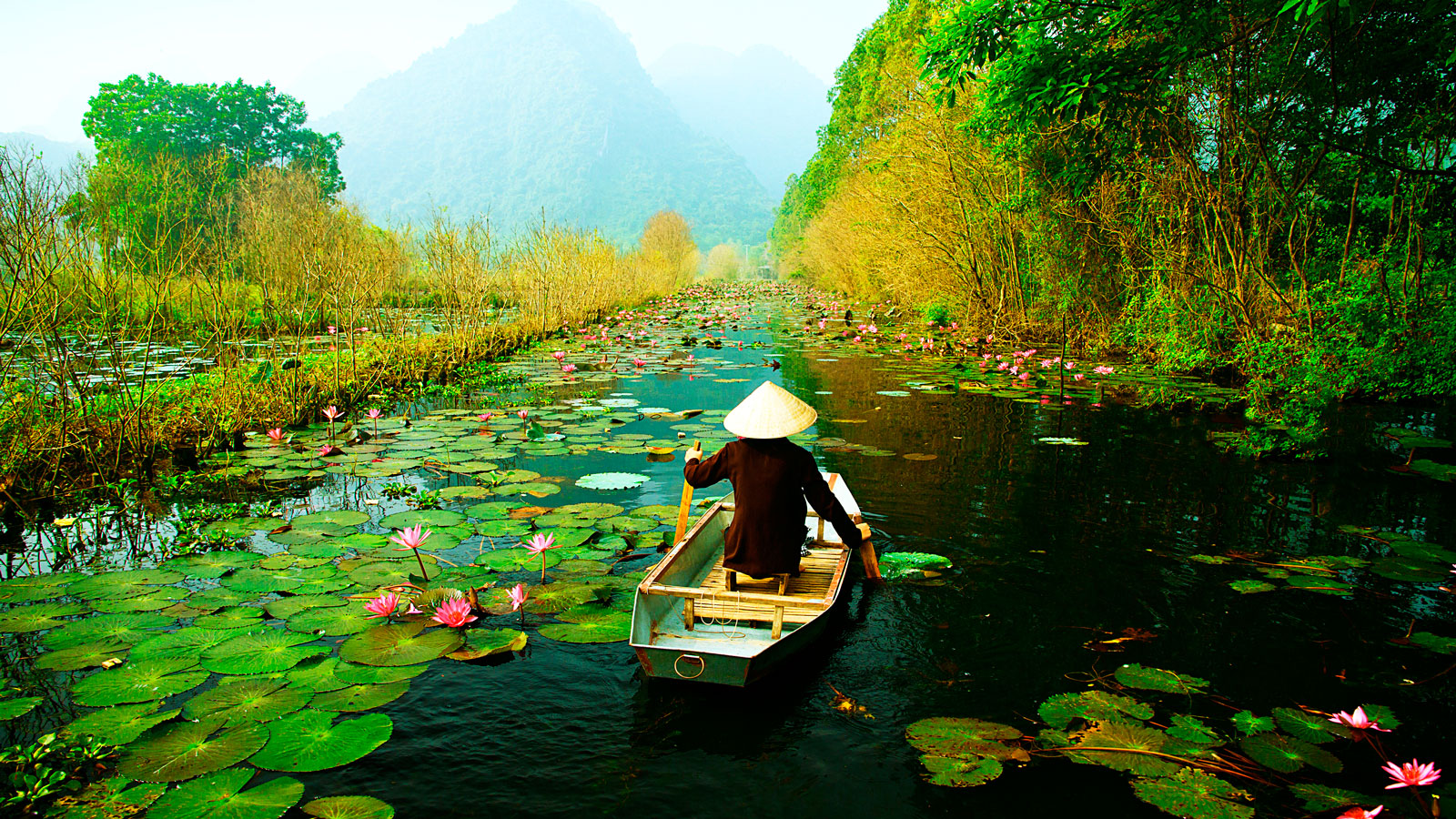 طبیعت زیبای ویتنام