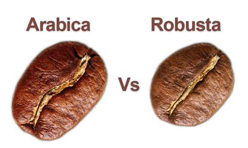 قهوه یوروکف GOLD ARABICA