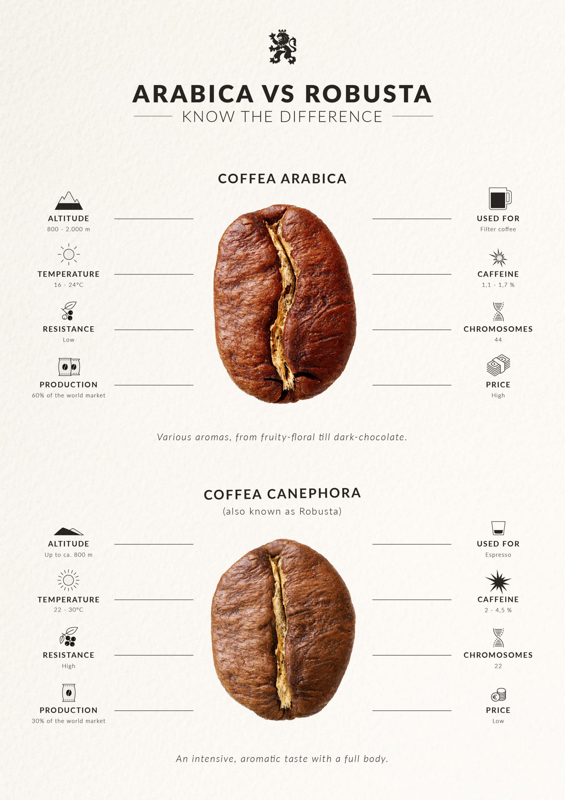 مقایسه دان قهوه عرییکا و روبوستا در یک نگاه