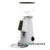 آسیاب قهوه فیورنزاتو مدل F4 NANO E