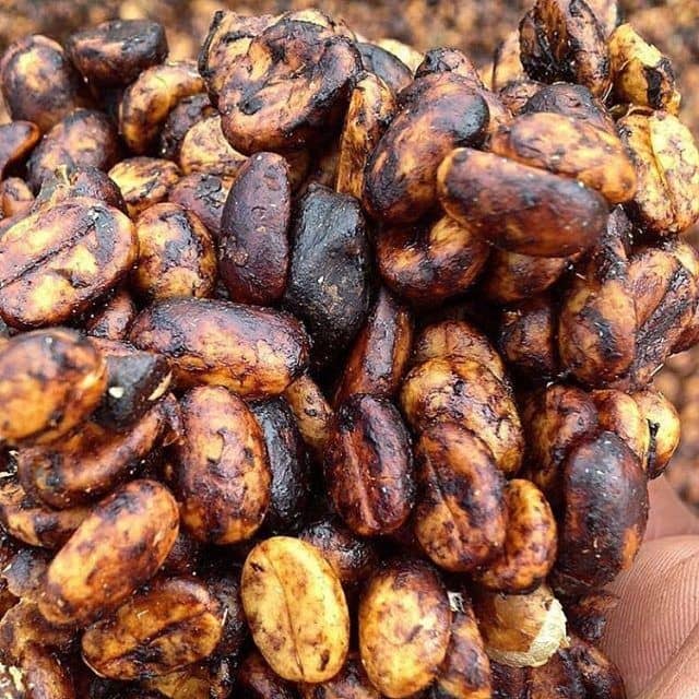 فرآوری عسلی