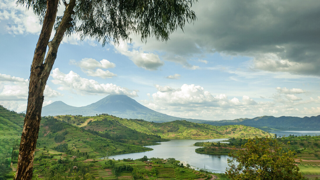 کوه‌های ویرونگا در رواندا