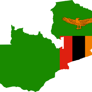 قهوه سبز زامبیا